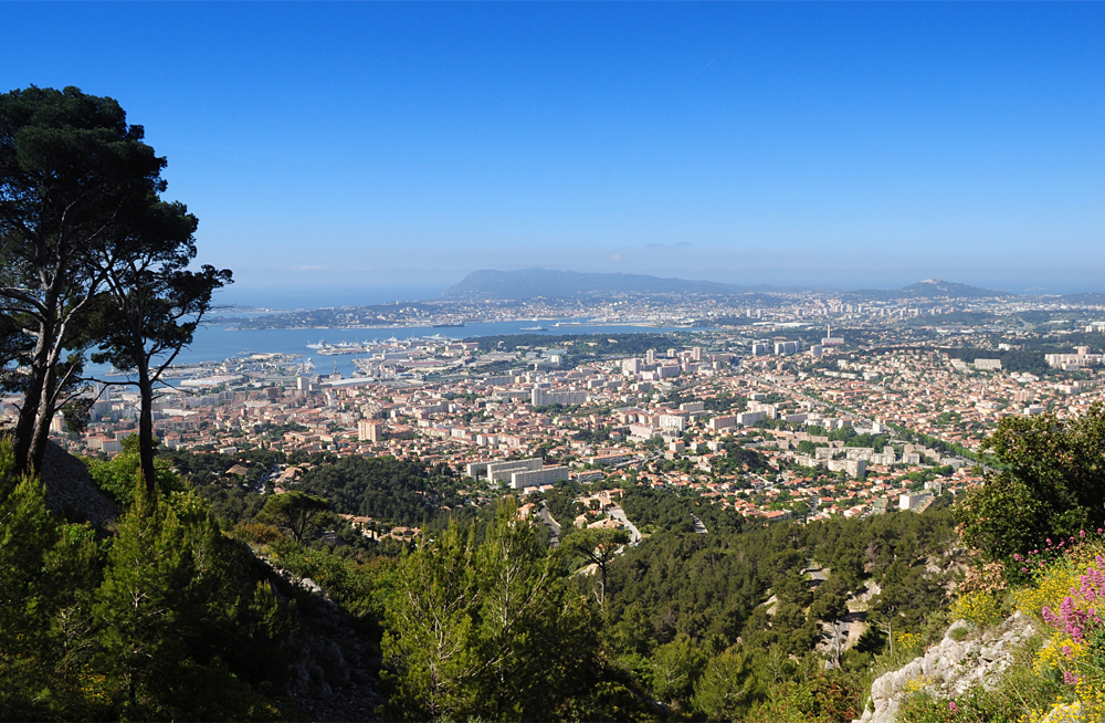 toulon agence immobilière