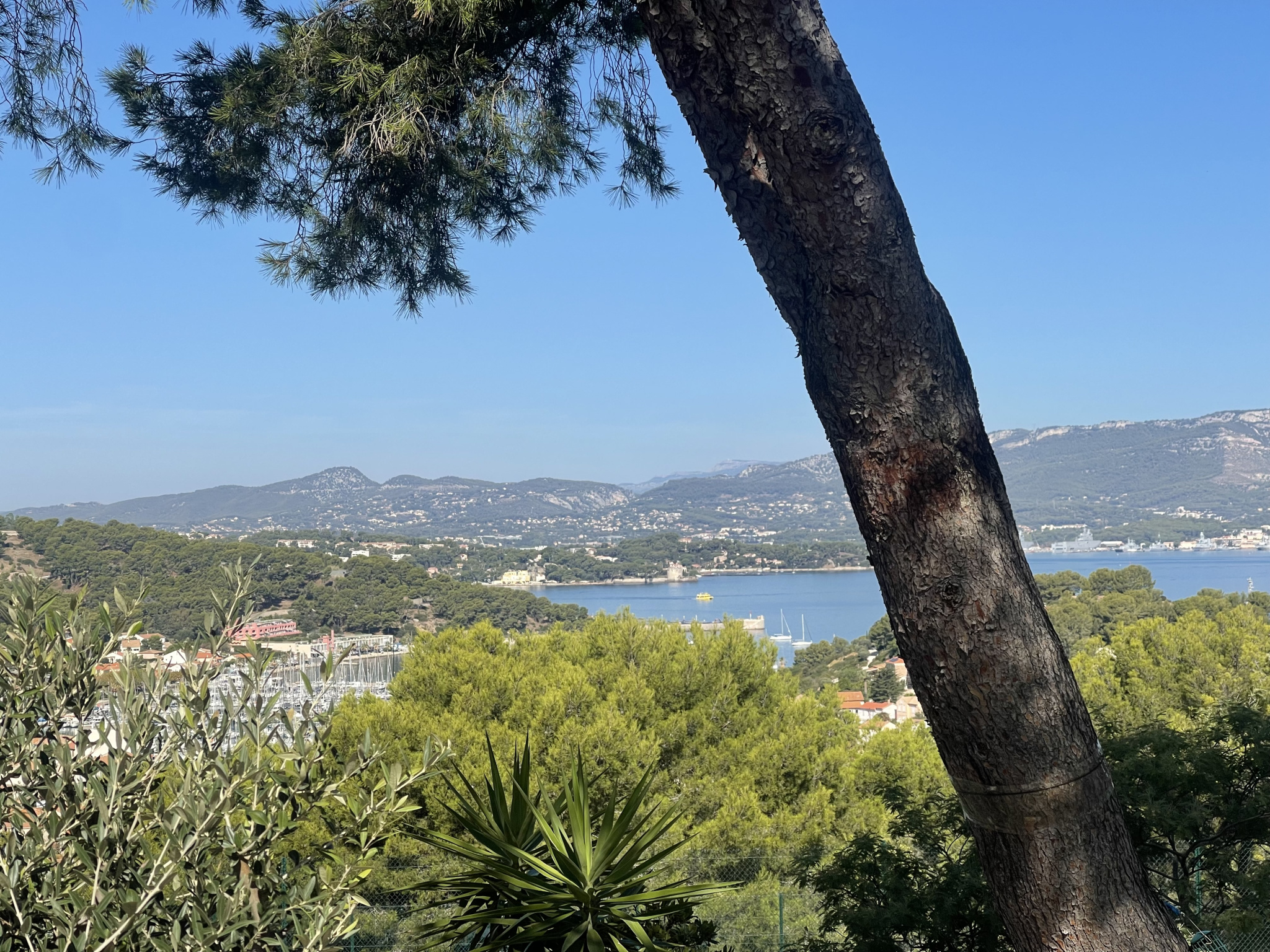 Appartement - Saint-Mandrier-sur-Mer